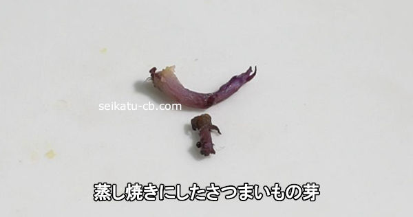 �����Ƥ��ˤ������Ĥޤ���β�