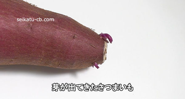 �꤬�ФƤ������Ĥޤ���