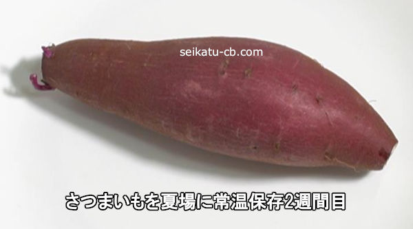 ���Ĥޤ����ƾ�˾ﲹ��¸2������