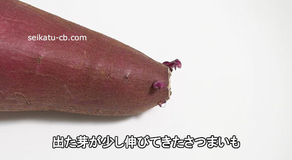 �Ф��꤬�������ӤƤ������Ĥޤ���