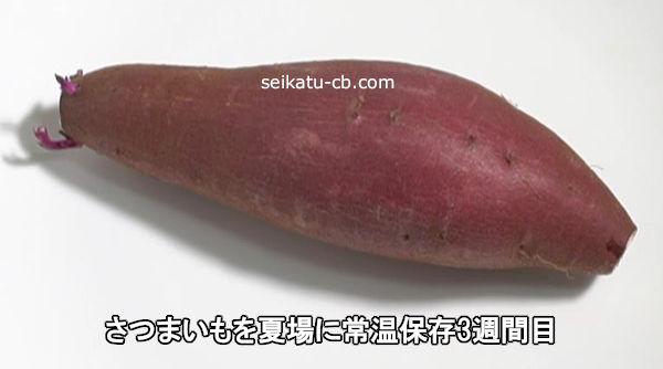 ���Ĥޤ����ƾ�˾ﲹ��¸3������