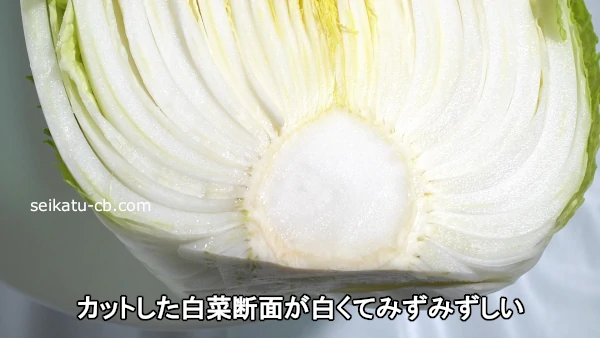 ���åȤ���������̤��򤯤Ƥߤ��ߤ�����