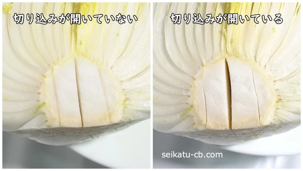 ��ڤ��ڤ���������Ƥ��ʤ���ڤ��ڤ���������Ƥ������