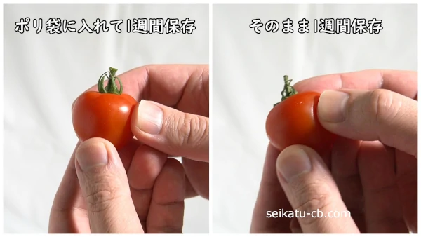 1週間そのまま保存したミニトマトとポリ袋に入れて野菜室で保存したミニトマトのハリの違い