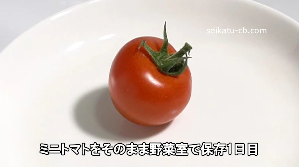ミニトマトをそのまま野菜室で保存1日目