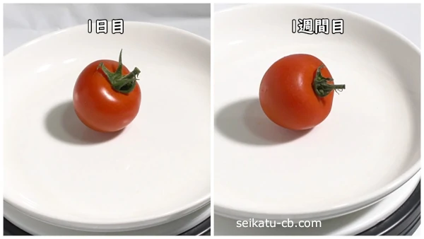 そのまま野菜室で保存したミニトマトの1日目と1週間目の違い