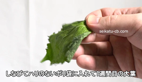 ���ʤӤƥϥ�Τʤ��ݥ��ޤ������1�����ܤ�����