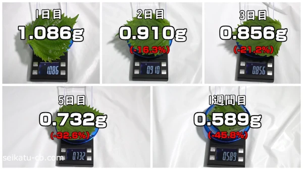 �ݥ��ޤ��������¢��¸�������դ�1�����ܤޤǤνŤ����Ѳ�