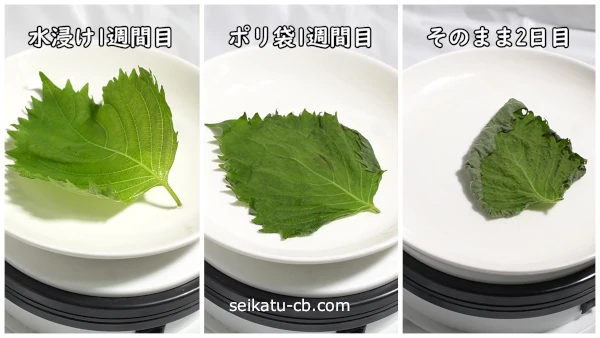 ���줾�����¸��ˡ����¸�������դθ����ܤ��Ѳ������