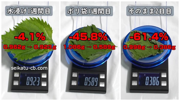 ���줾�����¸��ˡ����¸�������դνŤ����Ѳ������