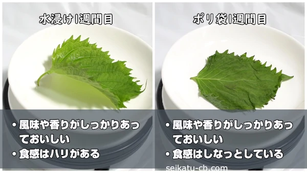 �ݥ��ޤ��������¸�������դȷ�����˿�������¸�������դ�̣�俩���ΰ㤤