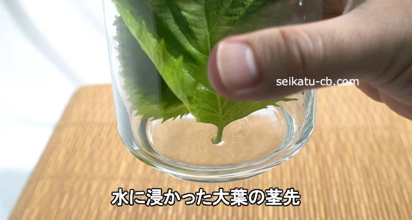 ��˿����ä����դη���