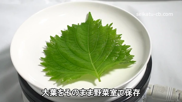 ���դ򤽤Τޤ���ڼ�����¸