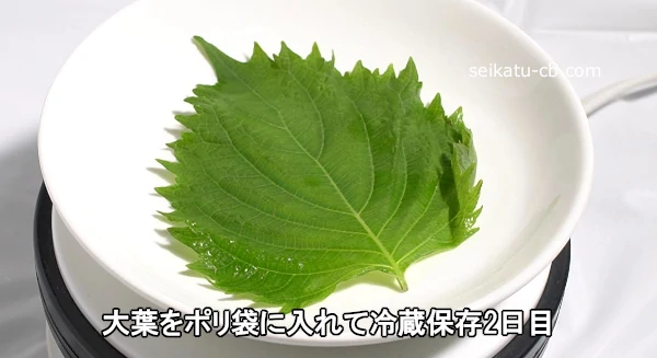 ���դ�ݥ��ޤ��������¢��¸2����