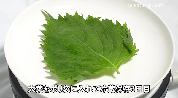 ���դ�ݥ��ޤ��������¢��¸3����