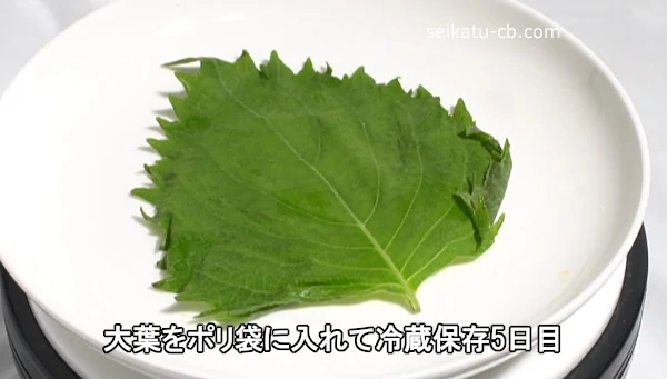 ���դ�ݥ��ޤ��������¢��¸5����