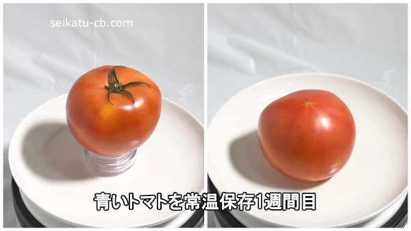 青いトマトを常温保存1週間目