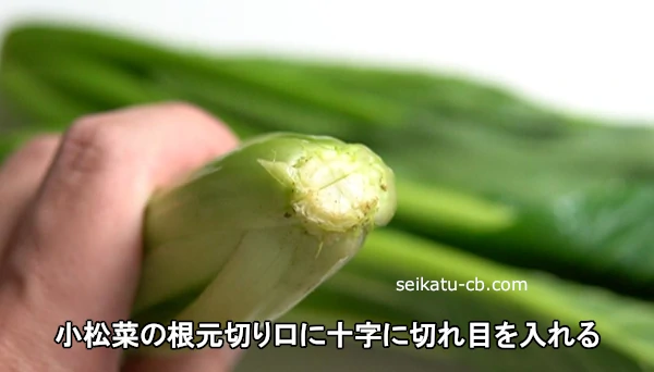 小松菜の根元切り口に十字に切れ目を入れる