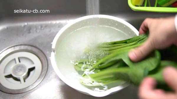小松菜の根元をよく洗う