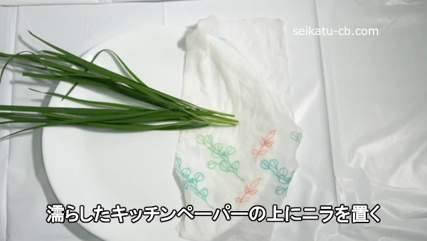 濡らしたキッチンペーパーの上にニラを置く