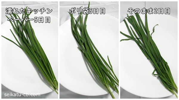 それぞれの保存方法で5日間保存したニラを比較