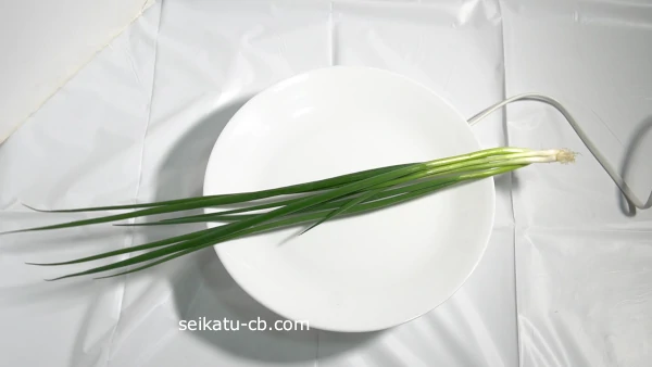 ���å���ڡ��ѡ���������¢��¸5���ܤκ٤ͤ��򥫥åȤ������