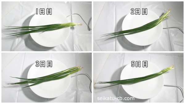 �٤ͤ���ݥ��ޤ��������¢��¸1���ܤ���5����