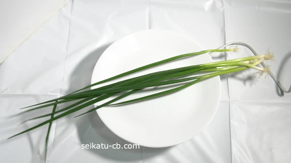 �٤ͤ��򤽤Τޤ���¢��¸1����