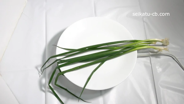 �٤ͤ��򤽤Τޤ���¢��¸2����