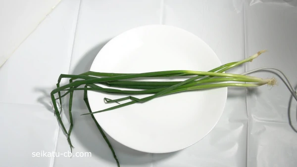 �٤ͤ��򤽤Τޤ���¢��¸3����