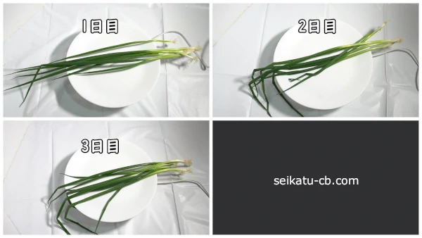 �٤ͤ��򤽤Τޤ���¢��¸1���ܤ���3����