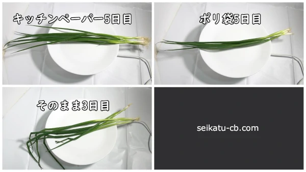 ���줾�����ˡ����¢��¸�����٤ͤ��θ����ܤ��Ѳ�