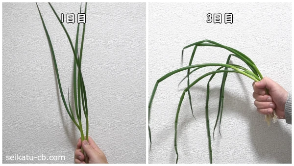 ���Τޤ���¢��¸�����٤ͤ��μ�˻��ä��Ȥ���1���ܤ�3���ܤΰ㤤