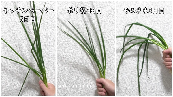 ���줾�����ˡ����¢��¸�����٤ͤ��μ�˻��ä��Ȥ����Ѳ�