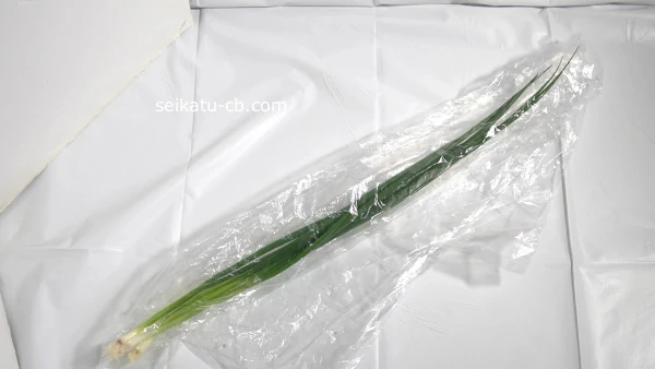 �٤ͤ���ݥ��ޤ��������¢��¸