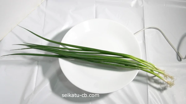 �٤ͤ��򥭥å���ڡ��ѡ���������¢��¸1����