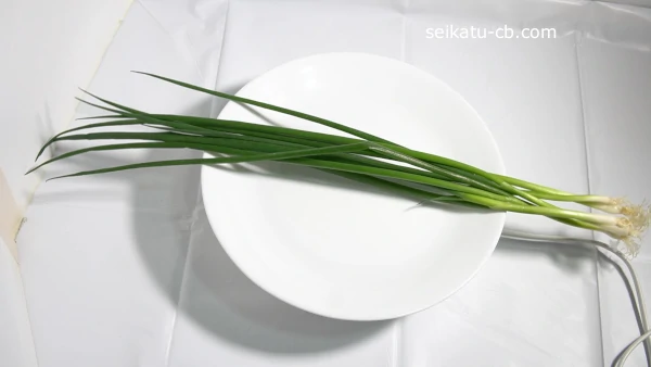 �٤ͤ��򥭥å���ڡ��ѡ���������¢��¸5����