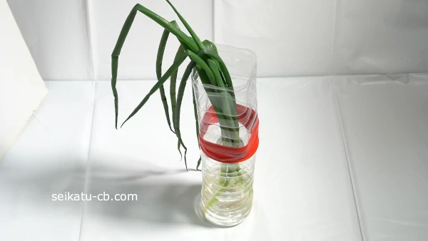 ���ʤӤ��٤ͤ��κ������˿�����