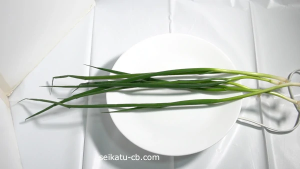 ��˿�����1���֤��ƥϥ꤬��ä����ʤӤ��٤ͤ�