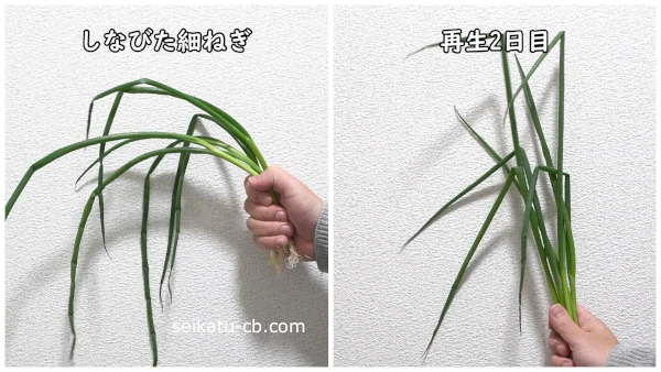 ��˻��ä����ʤӤ��٤ͤ��ȿ�˿����ƺ��������٤ͤ�