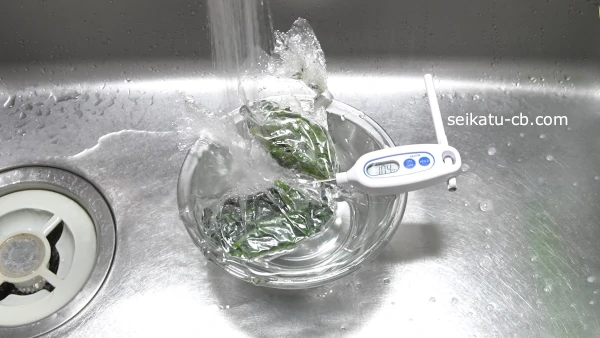 ���ष���յƤ�ή����ह��