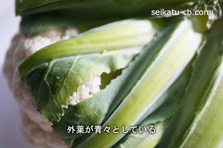 カリフラワーの外葉が青々としている