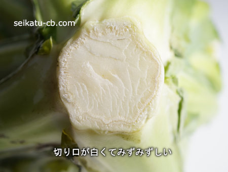 カリフラワーの切り口が白くてみずみずしい