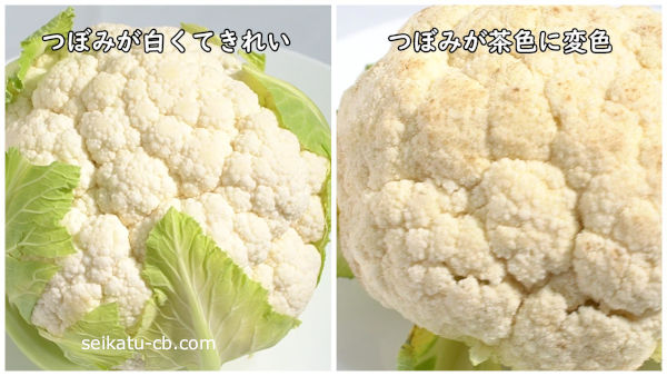 つぼみが奇麗なカリフラワーと茶色に変色したカリフラワー