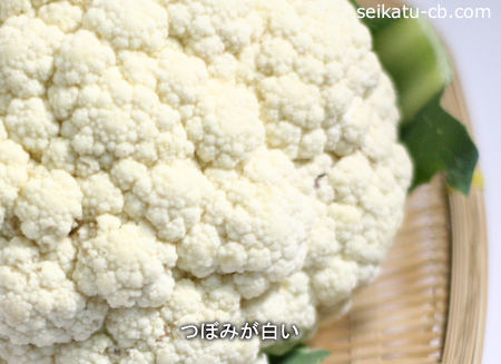 カリフラワーのつぼみが白い