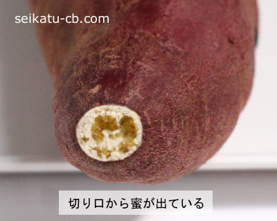 ���Ĥޤ�����ڤ������̪���ФƤ���