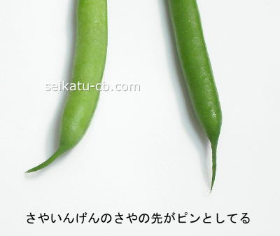 さやいんげんのさやの先がピンとしている