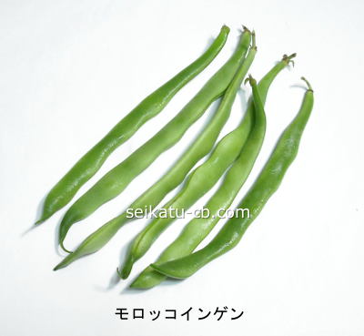 モロッコインゲン