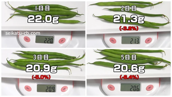 キッチンペーパーとポリ袋に入れて冷蔵保存したさやいんげんの1週間目までの重さの変化