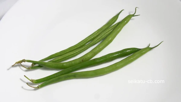 さやいんげんをそのまま冷蔵保存1日目